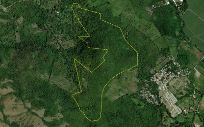 Mina en Venta, Pueblo Nuevo Cortes