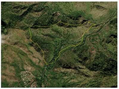 Terreno En Venta, Danli