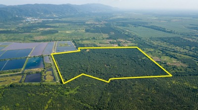 Terreno en Venta, Rio Nance Choloma